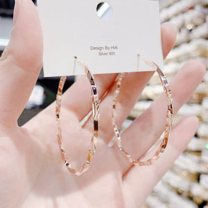 South Korea Elegant Stylish Exaggerated Circle Large Earrings Female Circle Earrings Internet Celebrity Fashion All-Match Circle Big Ring Earrings