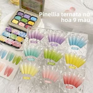 Sơn Móng Tay Dạng Gel Bán Cứng 9 Màu Pinellia Ternata Độ Bám Màu Cao Không Lem Đóng Hộp Dùng Cho Tiệm Nail Chuyên Nghiệp