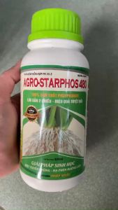 [10 CHAI] Phân bón AGRO-STARPHOS 480 500ML -  Kích ra rễ mạnh - đẻ nhánh nhiều - ức chế tuyến trùng và nấm hây thối rễ  nứt cổ rễ