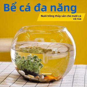 FEIZHUXIANSEN | Bể Cá Kính Cường Lực Dày Cho Rùa