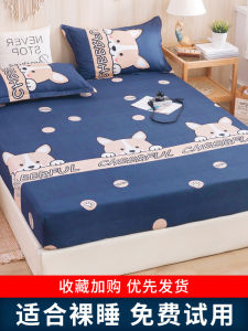 Full Enclosed Bed Canopy Single Piece Dustproof Mattress Protector Cover Autumn Winter New 2025 Bed Sheet Cover Protector