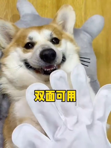 Pet Wipes Dog Wipes Cat Wipes Disposable Glove Wipes No Rinse Pet Cleaning Grooming Wipes for Dogs Cats