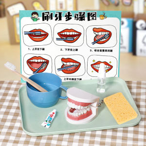 Đồ Chơi Mô Phỏng Chải Răng Cho Trẻ Mẫu Giáo Đồ Chơi Giáo Dục Montessori Đồ Chơi Răng Cho Trẻ Em Đồ Chơi Mô Phỏng Cho Trẻ Em Từ 3-5 Tuổi