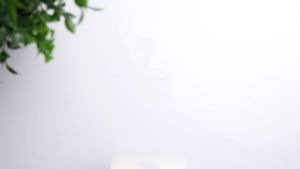 [2 PACK] [ Samsung Galaxy S24 Ultra / S24 Plus / S24 ] Spigen Neo Flex - Clear