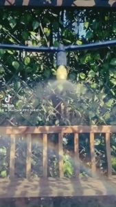 10 Đầu Phun Sương Bằng Đồng tưới cây tưới lan