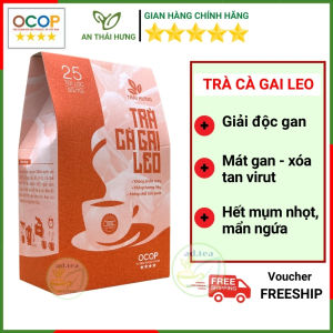 Trà Túi Lọc Thảo Dược Cà Gai Leo Thái Hưng - giúp Thanh nhiệt Giải độc gan Mát gan Xóa tan virut