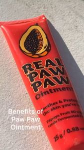 Real Paw Paw Ointment 25g / 75g / 200g dry cracked skin chapped lip nappy rash eczema sunburn cuts wound healing