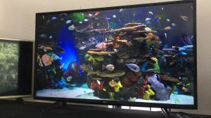 Thanh lý Smart Tivi LG 4K 43 inch có wifiyoutobe truy cập mạng siêu nhanh