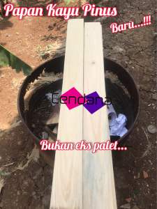 KAYU PINUS ATAU JATI BELANDA BARU BUKAN EKS PALET