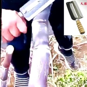 Dao cầu cắt khúc mía - dóc vỏ mía - cạo vỏ mía làm bằng thép nhíp xe chuẩn