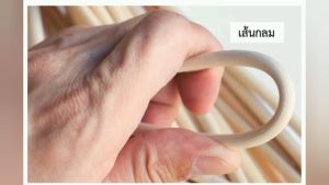 เส้นหวายธรรมชาติ 1.7-3X50 cm. 1เส้น เส้นกลม มีเปลือก ตราไผ่บง