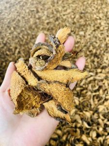 1Kg Thiên Niên Kiện Khô Thái Lát Sạch Thượng Hạng – Hỗ Trợ Tốt Cho Sức Khỏe