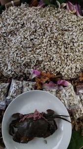 {giảm sôc 50 %}hạt sang trắng tây bắc hạt sành tốt cho dạ dày đại trằng 1 gói 13g