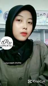 Setrika Wajah Ion Massager