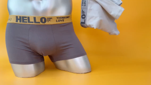 BDO กางเกงบ็อกเซอร์กางเกงในผู้ชายเอวสูงปานกลางไร้รอยต่อและระบายอากาศได้ดีกางเกงในผู้ชาย