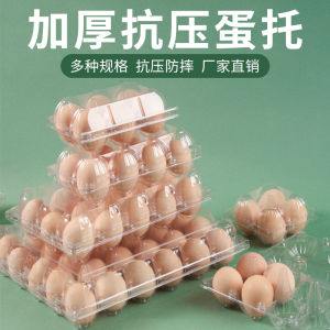 Disposable Plastic Egg Tray Transparent Storage Box for Soil Eggs Various Sizes Outdoor Camping Picnic Barbecue Supplies