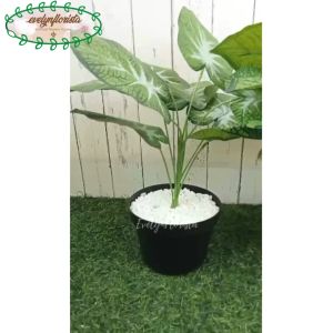 Tanaman Artificial Daun Sri Rejeki Hijau Tua X9 Pot Tawon & Pot Dasar Hiasan Aesthetic Apartement