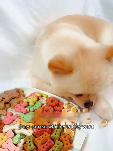 Bánh thưởng phomai bổ sung dinh dưỡng cho thú cưng (100gr)Viên canxi sữa dê cho chó mèo