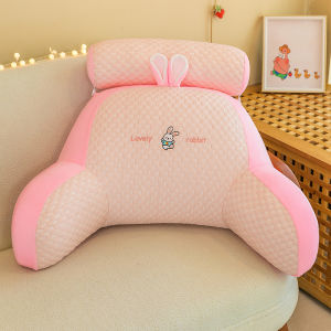 QIAOSHANG | Back Lumbar Support Pillow Bed