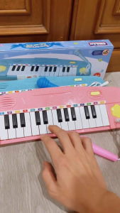 Mainan Anak Edukasi Musik Piano Organ Little Musician Microphone 308