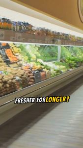 [Morilins Home] Set-of-2 Dual Compartment Cut Produce Fridge Storage - BPA-Free With Draining Basket and a great Space-Saver in Chic Minimalist