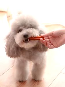 【Buy 1 Take 3】Pet Dog Treats 210g My Dog Nutrition Dental Sticks (20+ sticks) Dentastix Dentastick Pet Dog snack
