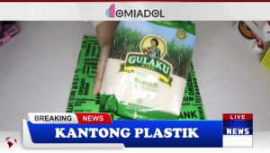 Kantong Plastik Olshop Motif Thank You 30x32 Cm - 50 Pcs