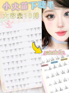 Dream Deer FD16 False Eyelashes 120 Clusters 10 Rows High Capacity Natural Dense Easy to Use Plastic Black Stem Synthetic Fiber