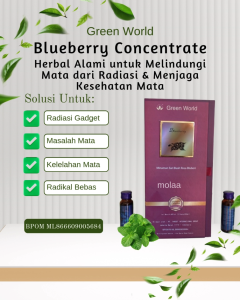 Green World Blueberry Concentrate – Minuman Herbal Melindungi Mata dari Radiasi Kaya Antioksidan & Vitamin C – 600ml