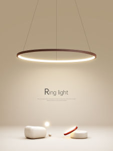 Artistic Modern LED Light Fixture