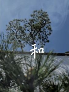 [Chasense Perfume] Nước Hoa 2ml 4 Mùi Trà Đặc Trưng (World Chinese Zen Flower Tea) Tươi Mát Giữ Hương Lâu Thanh lịchTinh tế 