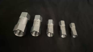 Van 1 chiều inox 304 ren trong 2 đầu lục giác nhiều kích thước G1/8 G1/4 G3/8 G1/2 G3/4