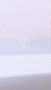 Kismis Simin Manis Premium 260gr - Kismis Mutiara Kristal - Anggur Organik