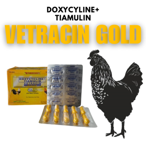 VETRACIN GOLD (1 STRIP) - Mengobati pernafasan pada ayam