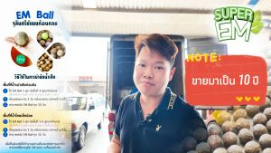 EM ball อีเอ็มบอล ลดกลิ่น บำบัดน้ำเสีย ขนาด 100 ลูก