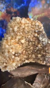 Núi đá Thạch Anh vàng nguyên sơ tự nhiên phong thủy tài lộc năng lượng vũ trụ cao 718