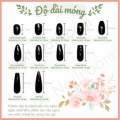 Nailbox - Móng Úp Thiết Kế Thủ Công Mẫu Thạch Gạo Nâu Tráng Gương Ngọc Trai Trắng Kết Hợp Hợp Tráng Gương Metalic Và Đính Đá. 