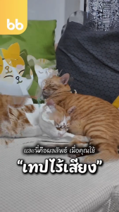 เทปไร้เสียง Happy Moon Moon🌞🌈(ม้วน)2 นิ้ว 45 หลา น้องแมว มูน มูน🐱 no noise tape เทปกาว