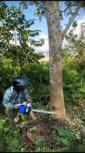 Mesin Potong Kayu 58CC Mesin Gergaji Sinso Senso 22" Chainsaw 2 Tak 22inch