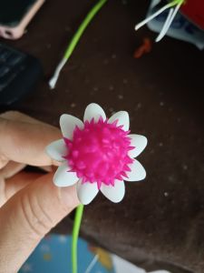 ดอกบานไม่รู้โรยพร้อมก้านเสียบแจกันได้มี 5 สีค่ะดอกขนาด 3 นิ้ว