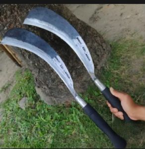 pisau panen tebu / arit tebu / gobang tebu