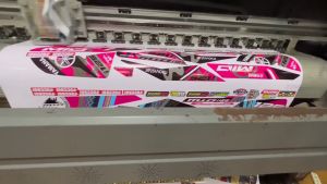 Kawasaki fury 125 Decals Stickers shark