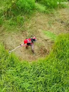 ECOSEN Mesin Potong Rumput 4 Tak Brush Cutter Gendong 45CC Mesin Pemotong Rumput Powerfull 4 tak Gendong Bensin