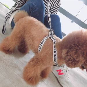 Taylorpo Retractable Leash for Small Dogs Teddy Bichon Pomeranian Chest Back Adjustable Collar Dog Walking Gear Pet Supplies
