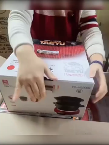 nồi lẩu điện TAEYU HÀN QUỐC nồi lẩu điện đa năng