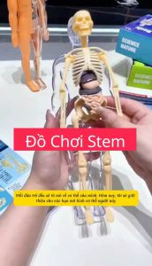 [Hộp Cao Cấp] Đồ Chơi Giáo Dục Mô Hình Cơ Thể Người - Mô Hình Lắp Ráp Giải Phẫu Cơ Thể Người Có Thể Tháo Rời Stem