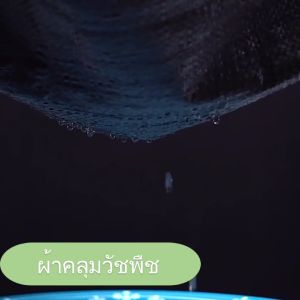 คลุมวัชพืช ยาว 50/100 ม. กำจัดหญ้า พลาสติก คลุมวัชพืช พลาสติก คลุมหญ้า ผ้าคลุมดิน ผ้าคลุมวัชพืช ป้องกันวัชพืช