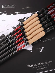 Tailwalk | Sea Freshwater Fishing Spinning Rod
