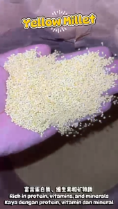Yellow Millet | Natural Whole Grain | High Fiber & Protein | Gluten-Free | Healthy Superfood | 养生健康全谷物