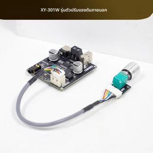 บอร์ดเครื่องขยายเสียงโมโน TWS 30W บลูทูธ 5.2 ควบคุมผ่านแอพ DC 9-24V AUX สำหรับลำโพงรถยนต์ คาราโอเกะ สมาร์ทโฮมเธียเตอร์ ซับวูฟเฟอร์